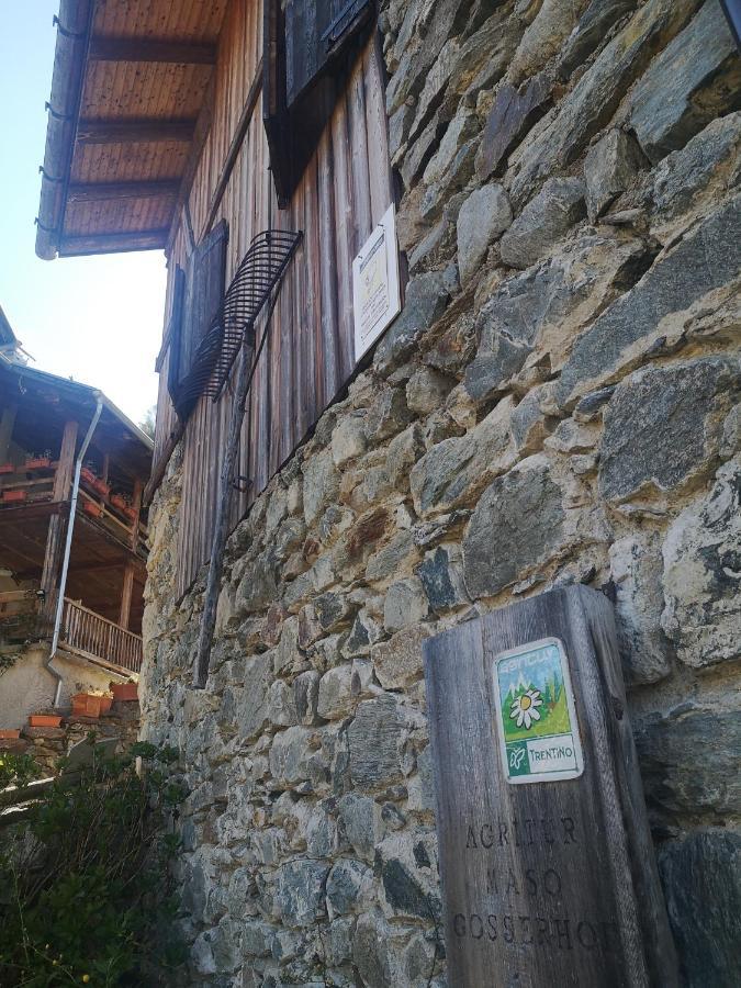 Agritur Maso Gosserhof Frassilongo Εξωτερικό φωτογραφία